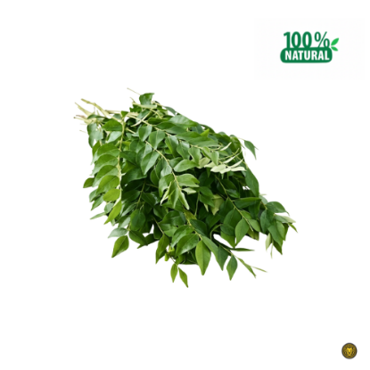 Picture of Fresh Curry Leaves