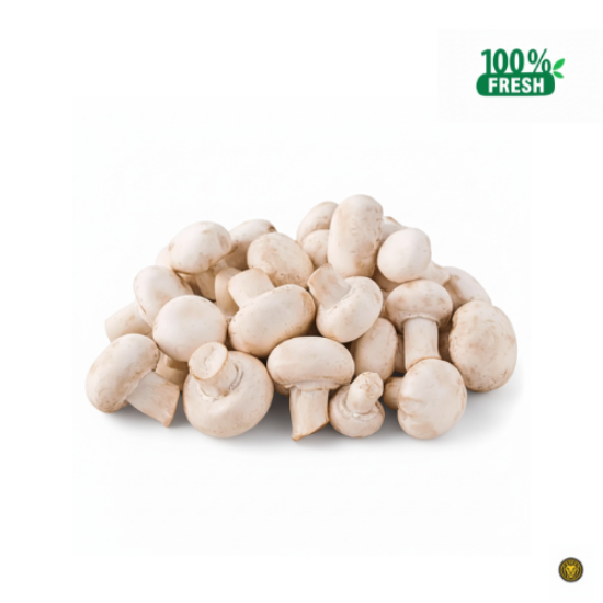 Picture of Fresh White Button Mushroom