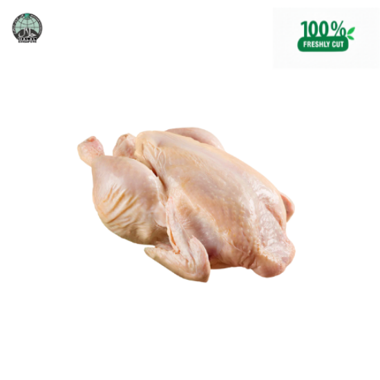 Picture of Fresh  Whole Chicken (Kampong)