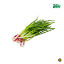 Picture of Fresh Spring Onions