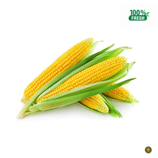 Picture of Fresh Sweet Corns
