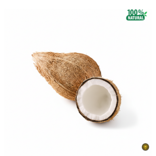 Picture of Fresh Coconut (India) Broken into 2 Half