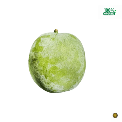 Picture of Fresh Ash Gourd (Winter Melon)