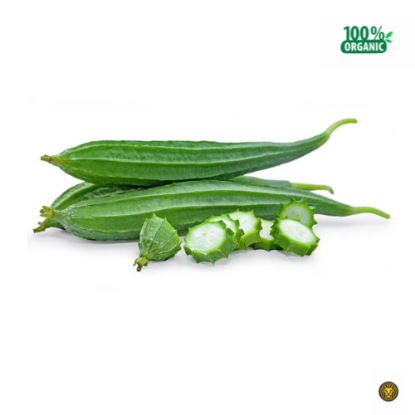 Picture of Fresh Ridge Gourd (Torai/Angled Loofah)