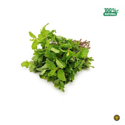 Picture of Fresh Mint Leaves