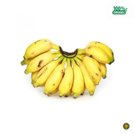 Picture of Fresh Poovan Pazham Banana