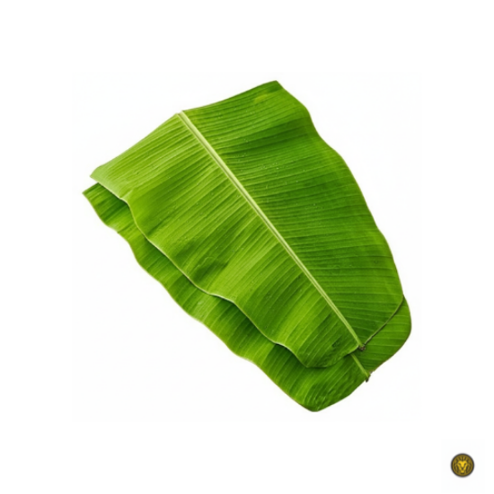 Picture of Fresh Banana Leaf For Pooja (Thalai Vazhai Ilai)