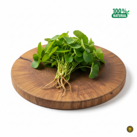 Picture of Fresh Brahmi Leaves (Vallarai/Walalak)