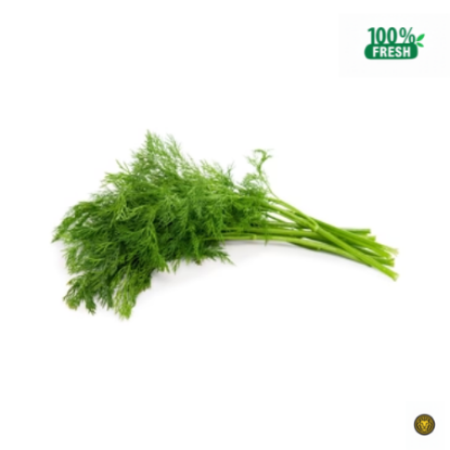 Picture of Fresh Herbs Dill Leaves