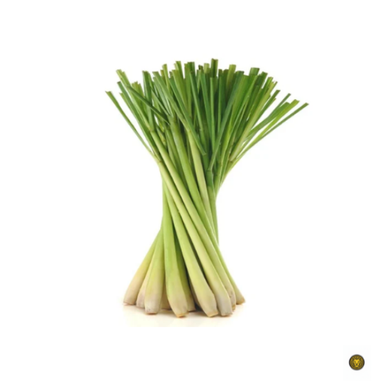 Picture of Fresh Lemon Grass