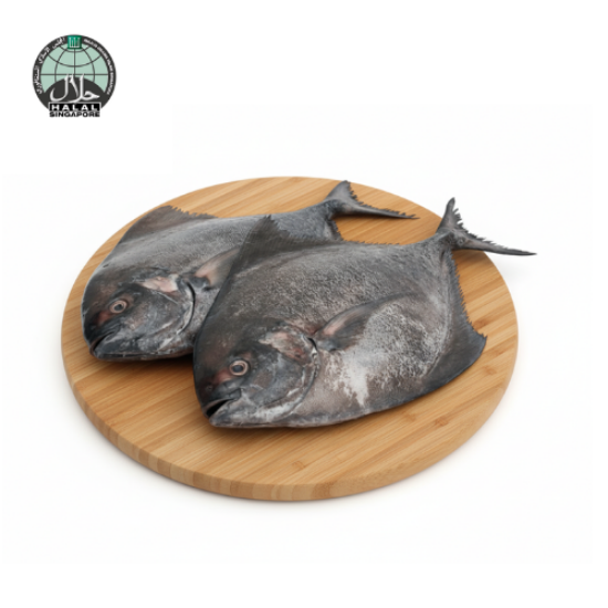 Picture of Fresh Black Pomfret