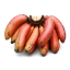 Picture of Fresh Red Banana