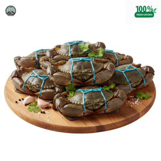 Picture of Live Mud Crab Fresh (Medium)