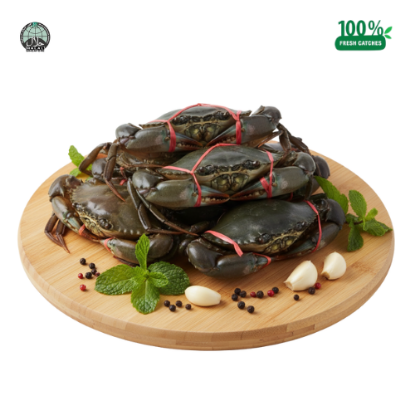 Picture of Live Mud Crab Fresh (Large)