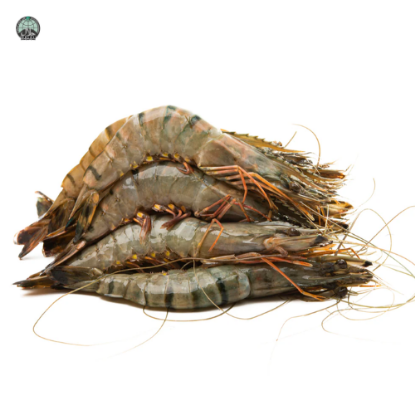 Picture of Tiger Prawns Medium