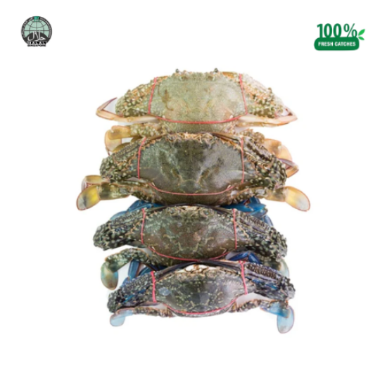 Picture of Fresh Flower Crab