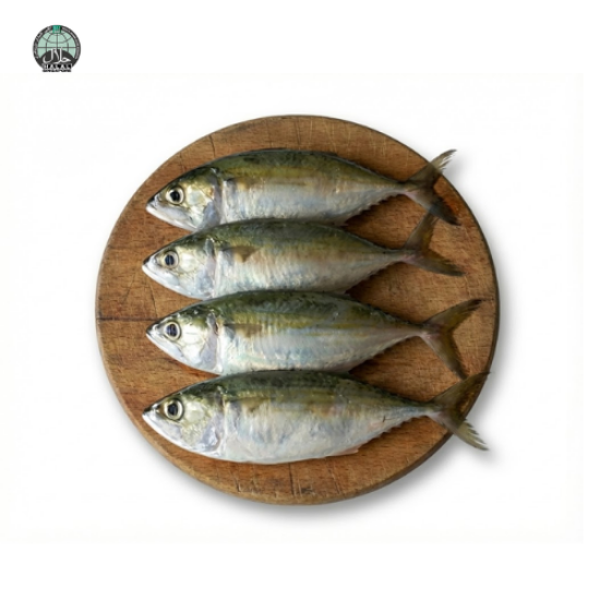 Picture of Batang Fish (Cut and Clean)