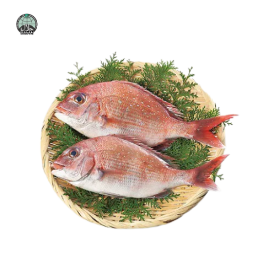 Picture of Fresh Angoli Fish (Cut and Clean)