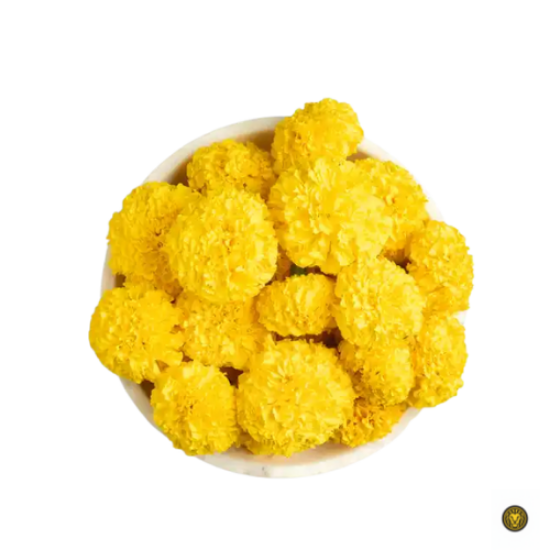 Picture of Marigold Flower Yellow