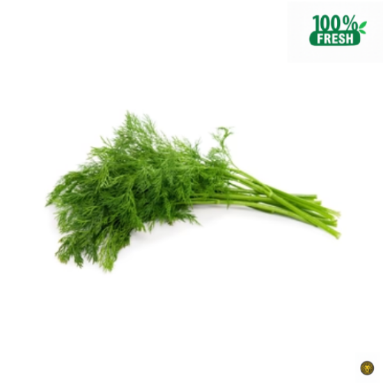 Picture of Fresh Herbs Dill Leaves