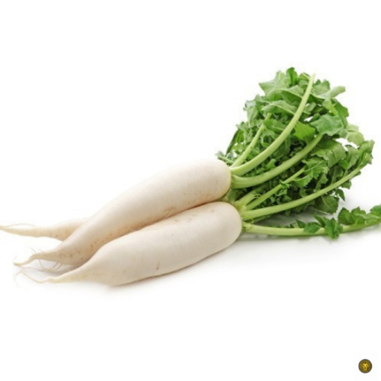 Picture of Fresh Radish (India)