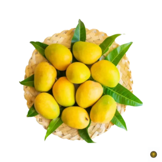 Picture of Fresh Alphonso mangoes