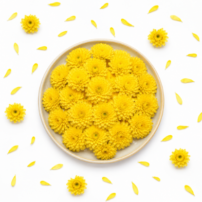 Picture of Fresh Yellow Chrysanthemum (Samanthi) Loose Flowers