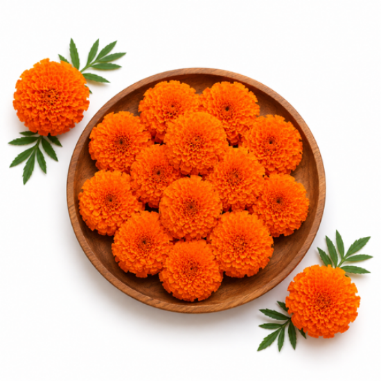Picture of Marigold Flower Orange