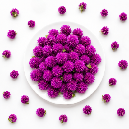 Picture of Vadamalli Flower