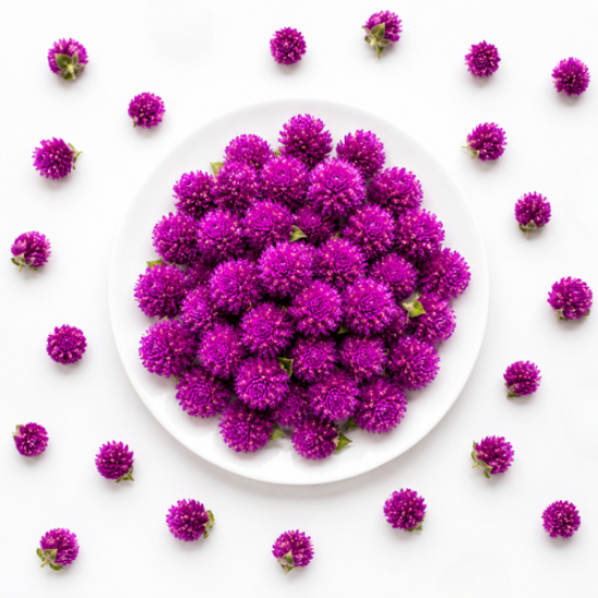 Picture of Vadamalli Flower