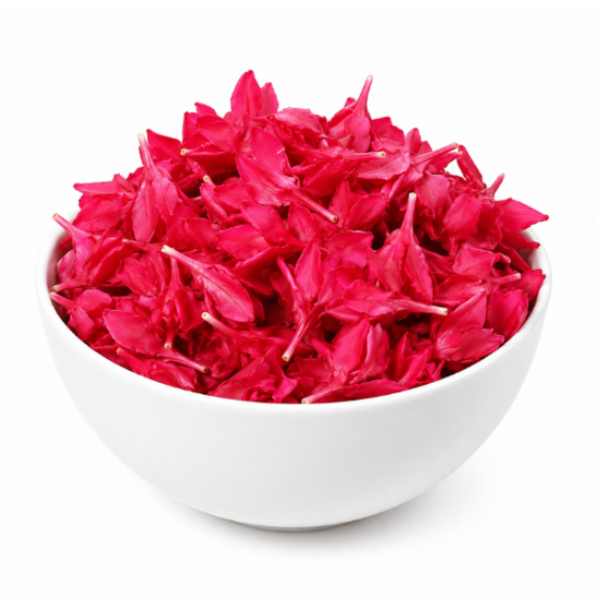 Picture of Arali Flower
