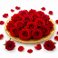 Picture of Fresh Red Rose Pooja Flower