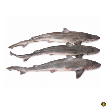 Picture of Fresh Shark Fish (Cut and Clean)
