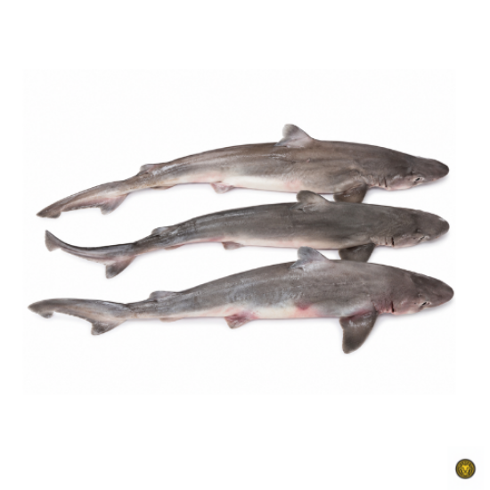 Picture of Fresh Shark Fish (Cut and Clean)