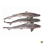 Picture of Fresh Shark Fish (Cut and Clean)