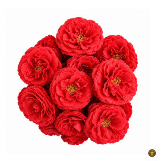 Picture of Fresh Paneer Rose Pooja Flower