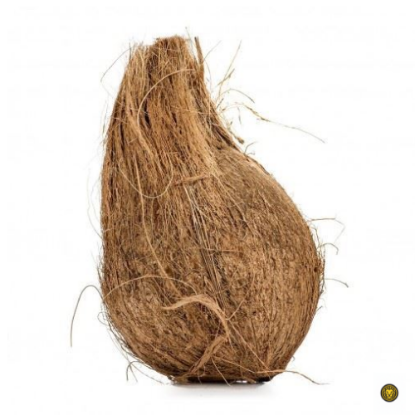 Picture of Fresh Whole Coconut (India)