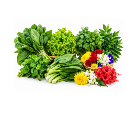 Picture for category Leafy & Flower